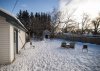 Backyard 3.JPG