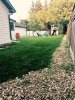 Yard 1.jpg