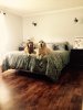 Masterbedroom.jpg