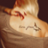 Sophie_8140